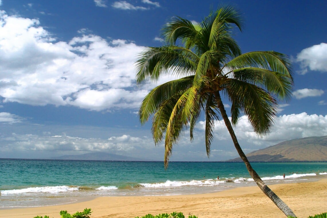 Top Image PA Letter Beach Palmtree