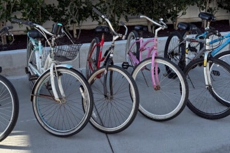 bikes