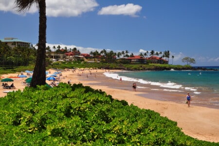 hawaii2010 wailea beachwalk 14